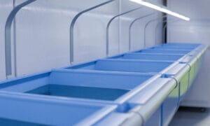 240828 xoma 05 r e1736855972699